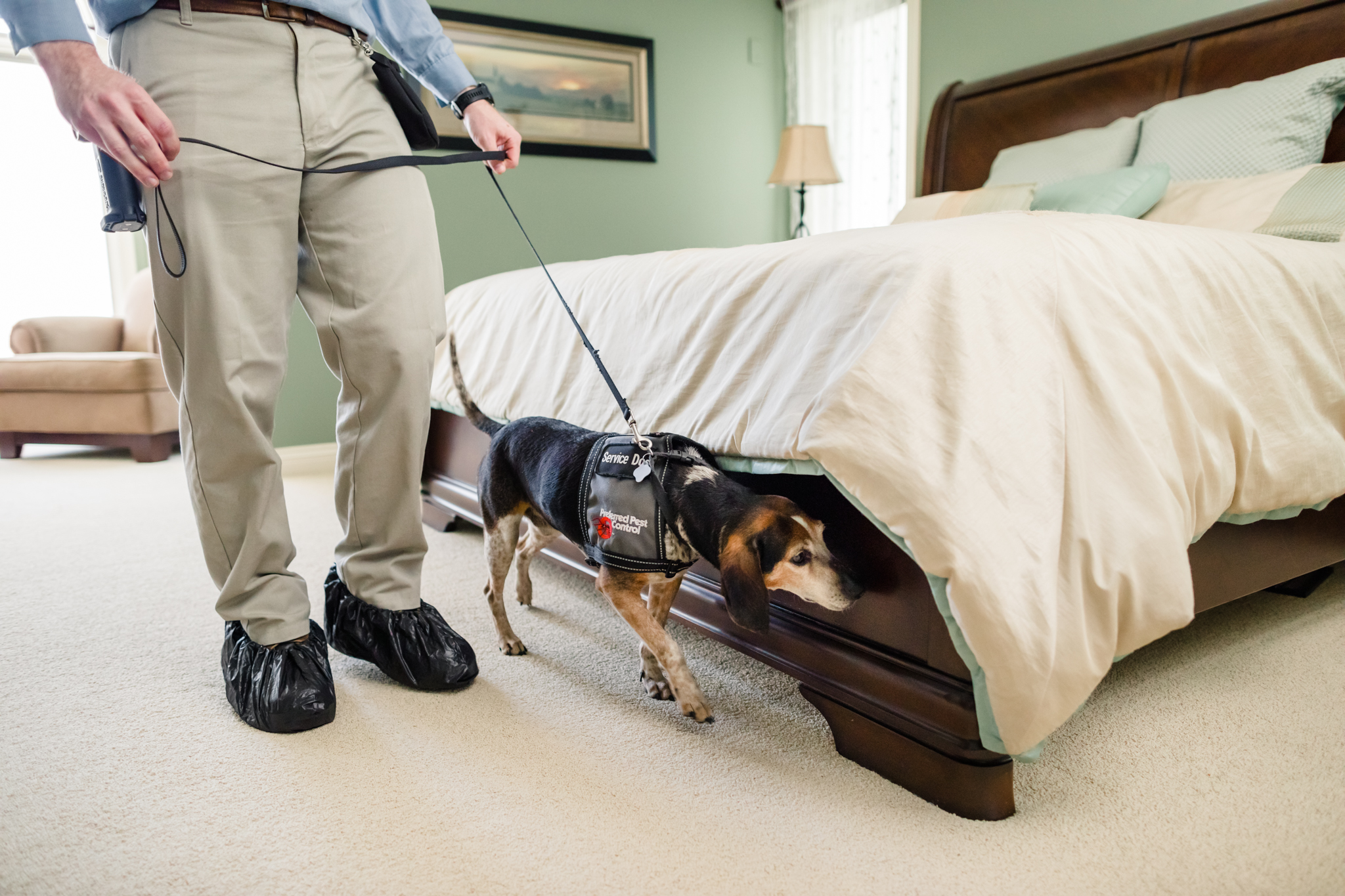commercial bed bug prevention. bed bugs in hotels.